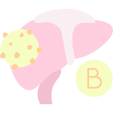 hepatitis b icon