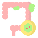 cáncer de colon icon