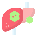 cáncer de hígado icon