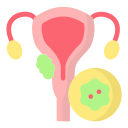 cáncer de cuello uterino icon