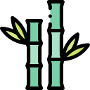 bambou icon