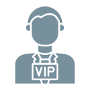 persona vip icon