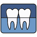 radiografía dental icon