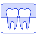 radiografía dental icon