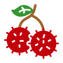 fruta del rambután icon