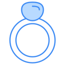 anillo icon