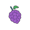 fruta icon