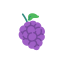 fruta icon