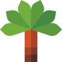 Palmera icon