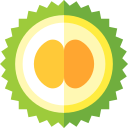 Durian icon