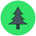 árbol de pino icon