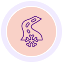 camino icon