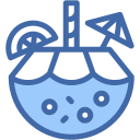 bebida de coco icon