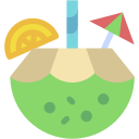 bebida de coco icon