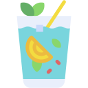 mojito icon