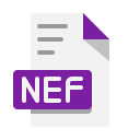 nef icon