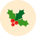 navidad icon