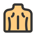 Back icon