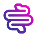 intestino icon