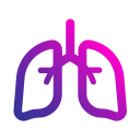 pulmones icon