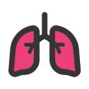 pulmones icon