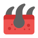 dermis icon