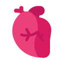 corazón icon