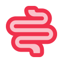 intestino icon