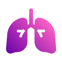 pulmones icon