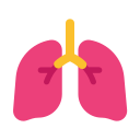 pulmones icon