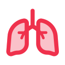 pulmones icon