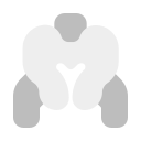 pelvis icon