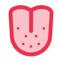 lengua icon