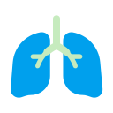 pulmones icon