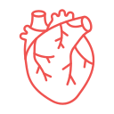 corazón icon