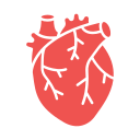 corazón icon