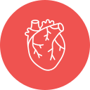 corazón icon