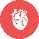 corazón icon