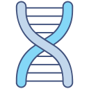 estructura del adn icon