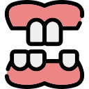 dentadura icon