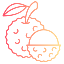 lychee icon