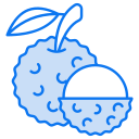 lychee icon