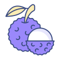 lychee icon