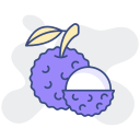 lychee icon