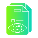 informe de seguridad icon