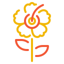 hibisco icon