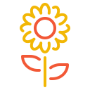 girasol icon