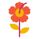 hibisco icon