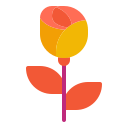 rosa icon