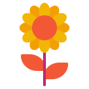 girasol icon